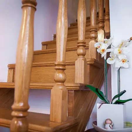 Apartment Angelus