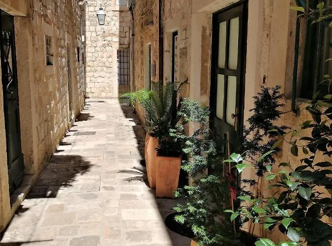 Angelus Apartament *