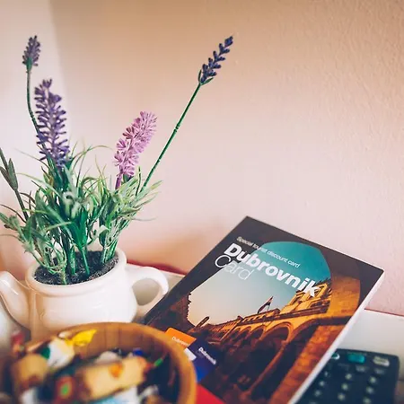 公寓 安杰勒斯公寓酒店 *