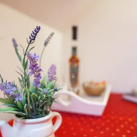 Apartament Angelus Dubrownik