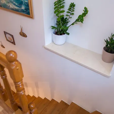 Apartament Angelus Dubrownik